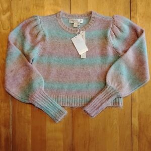 Saltwater LUXE Wool Blend Sweater Pink, Blue, And Purple Ombre Striped S NWT